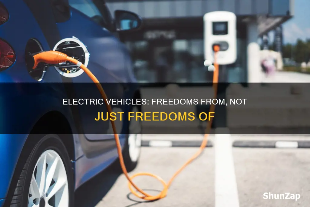 what electric vehicles do without