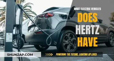 Hertz's Electric Vehicle Fleet: A Comprehensive Guide