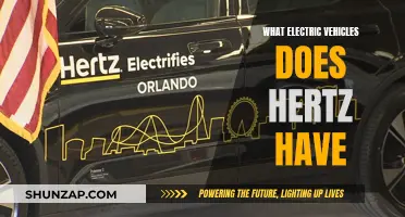 Hertz's Electric Fleet: Exploring Their EV Offerings
