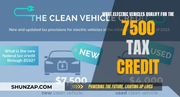 Unveiling the Electric Vehicle Tax Credit: Who Qualifies?