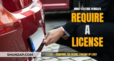 Do All Electric Vehicles Require a License?