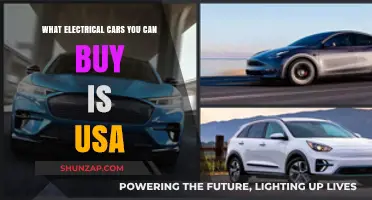 Top Electric Cars to Buy in the USA: A Comprehensive Guide