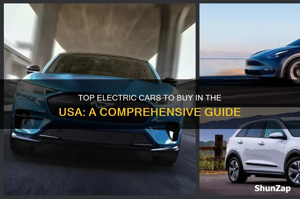 what electrical cars you can buy is usa