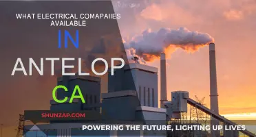 Electrical Companies in Antelope, CA: Your Options Explored
