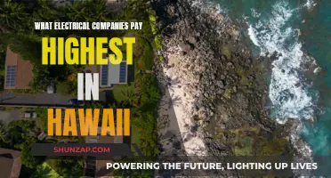 Hawaii's Highest-Paying Electrical Companies: Top Earners Revealed