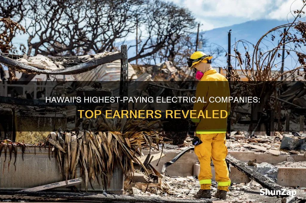 what electrical companies pay highest in hawaii