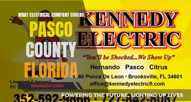 Electrical Services in Pasco County: Your Local Experts