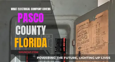 Electrical Services in Pasco County, Florida: Who's Available?