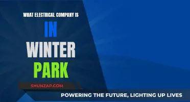 Winter Park Electrical Companies: Who's Operating in the Area?
