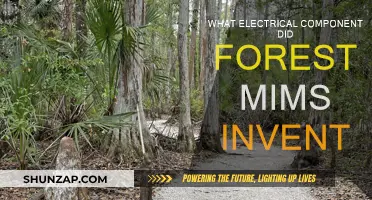 The Mims Probe: A Simple Invention by Forest Mims