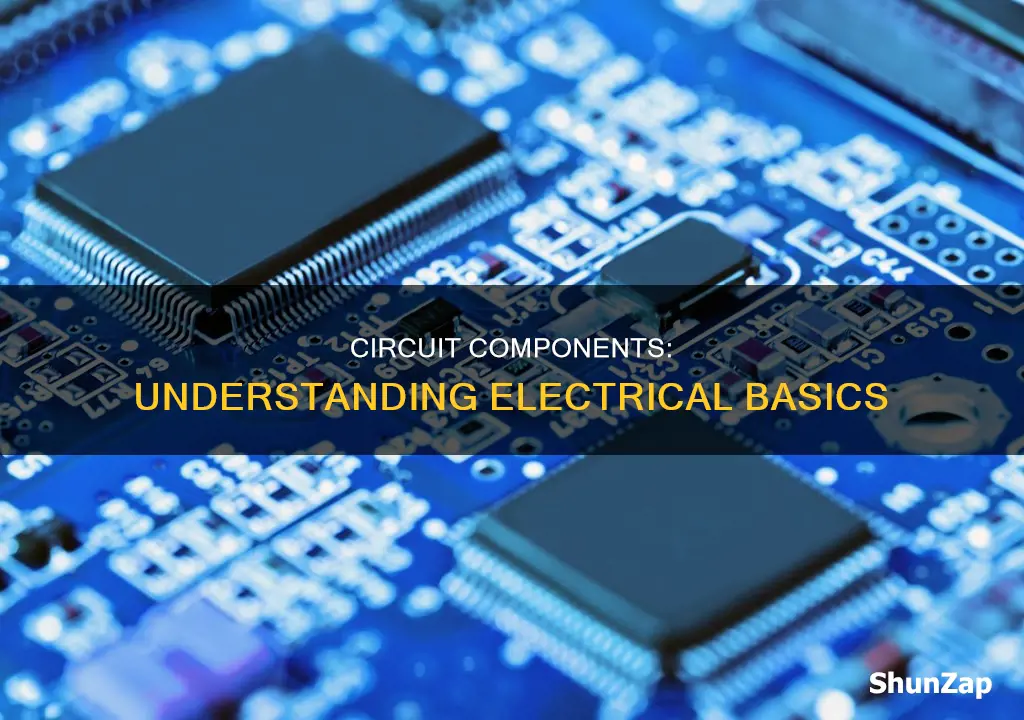what electrical components are in a circuit