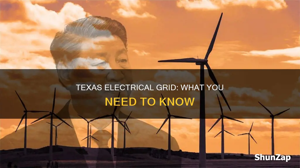 what electrical grid am i on texas