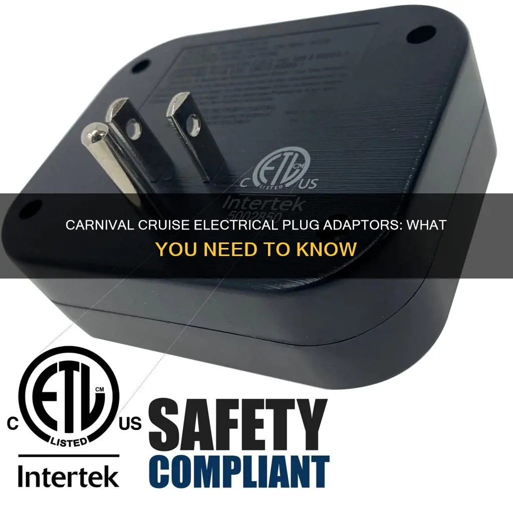 what electrical plug adaptor for carnival ships