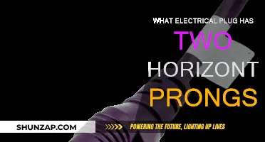 Electrical Plug Mystery: Two Horizontal Prongs, What's the Deal?