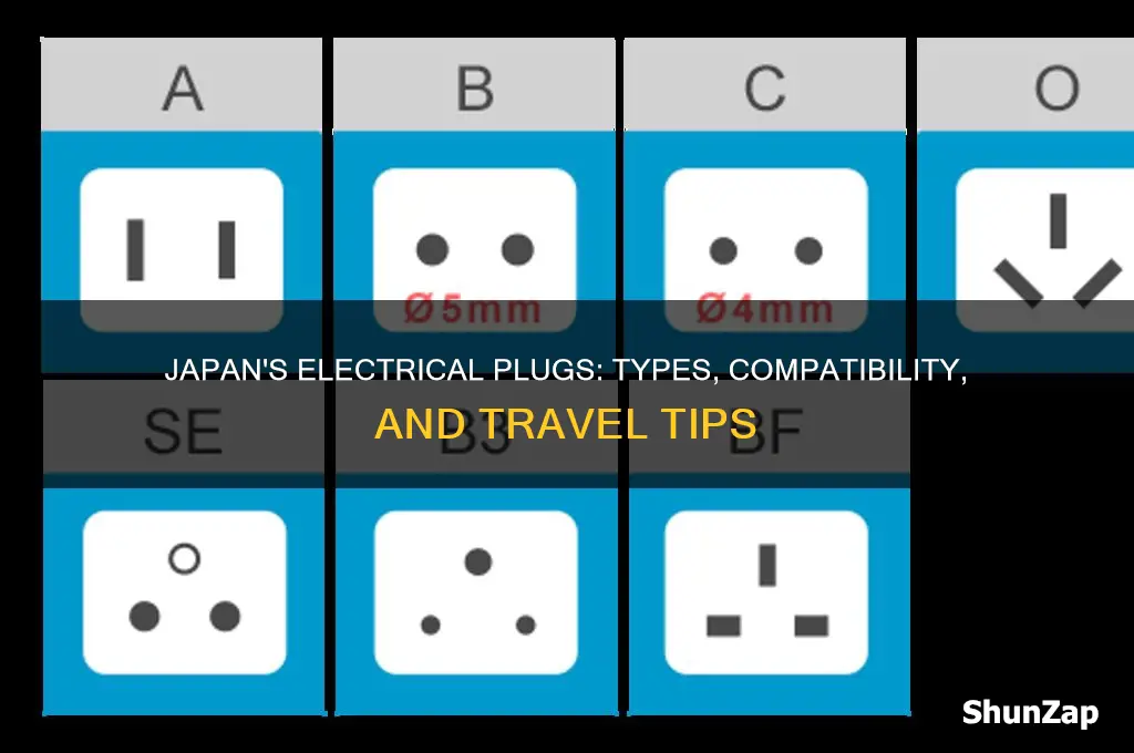 what electrical plugs are used in japan