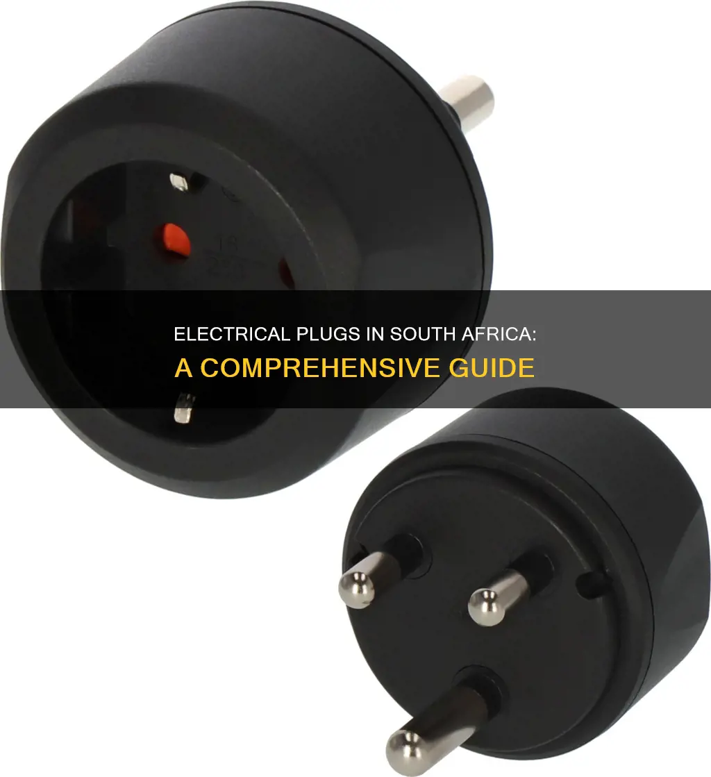 what electrical plus does south africa have