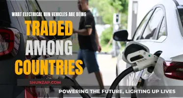 Electric Vehicles: Global Trade and Country Collaborations