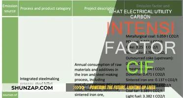 Understanding Carbon Intensity Factors for Electrical Utilities
