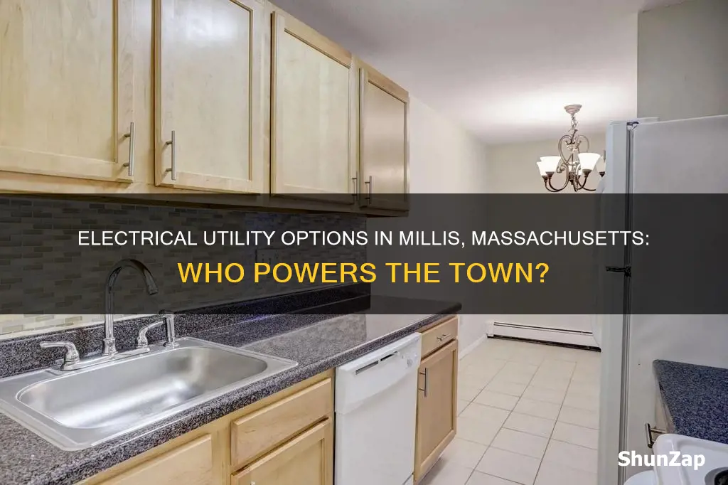 what electrical utility does millis massachusetts have