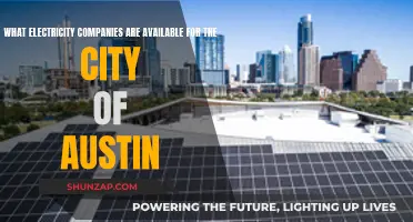 Powering Austin: Exploring Electric Utilities and Their Services