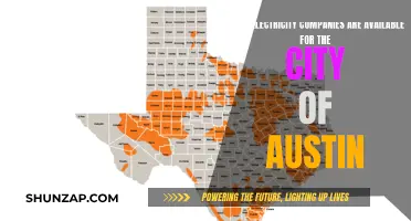 Electricity Companies: Austin's Top Energy Providers