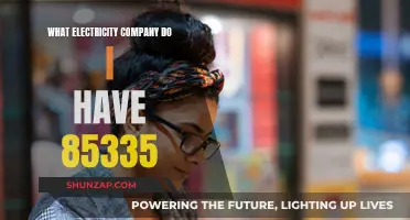 Electricity Company for 85335: Who's Your Provider?
