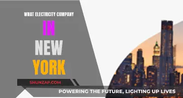 Unveiling New York's Top Electricity Providers: A Comprehensive Guide