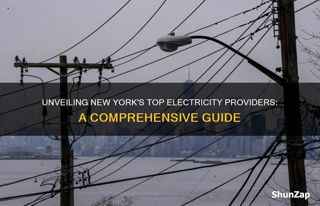 what electricity company in new york