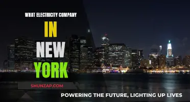 Electricity Companies in New York: Your Ultimate Guide