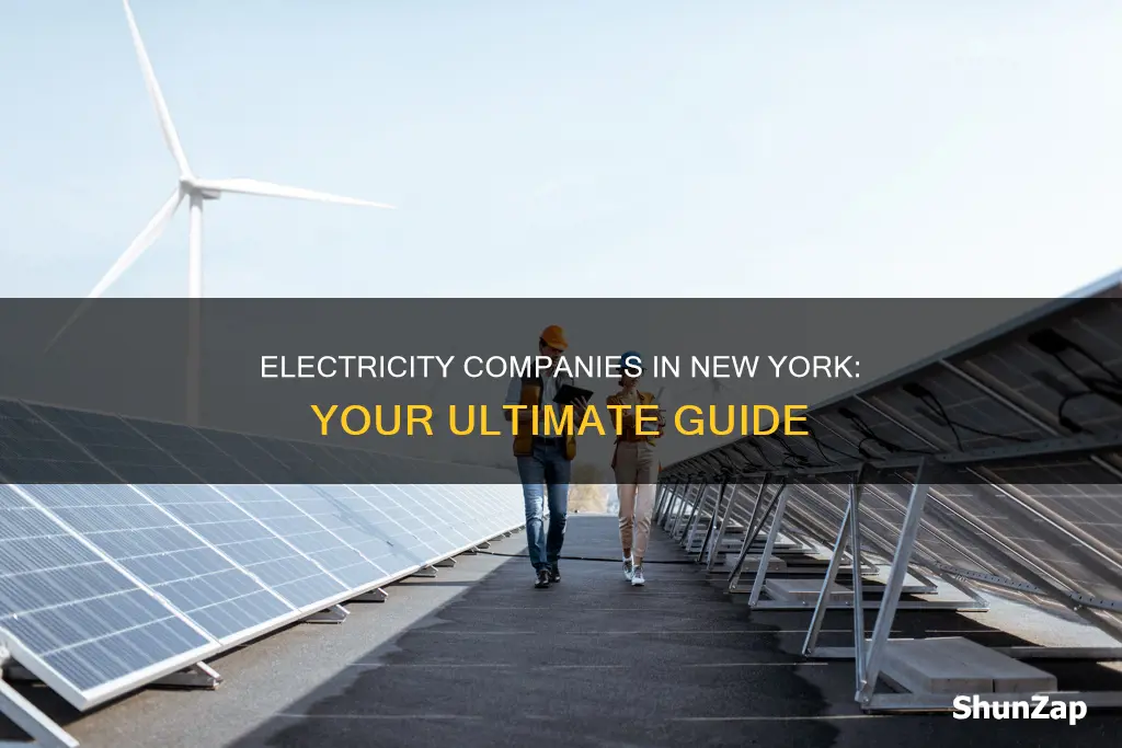 what electricity company in new york