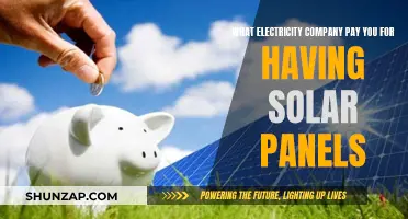 Solar Savings: How Electricity Companies Reward Your Green Energy Investment