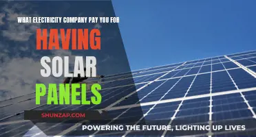 Solar Power Profits: Electricity Companies Paying for Your Panels