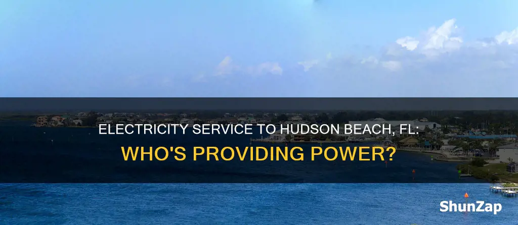 what electricity company provides service to hudson beach fl