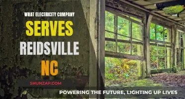 Electricity Company Options for Reidsville, NC: Who Serves the Area?