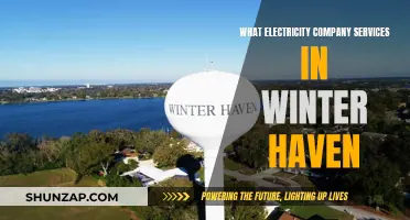 Winter Haven's Top Electric Companies: Reliable Service in the Cold