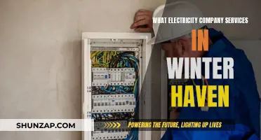 Winter Haven Electricity Company Services: Your Guide