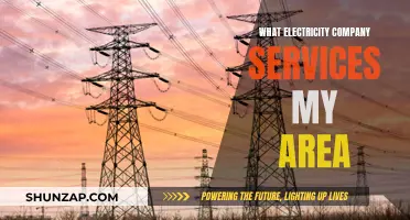 Electricity Company Services: Who Powers Your Home?