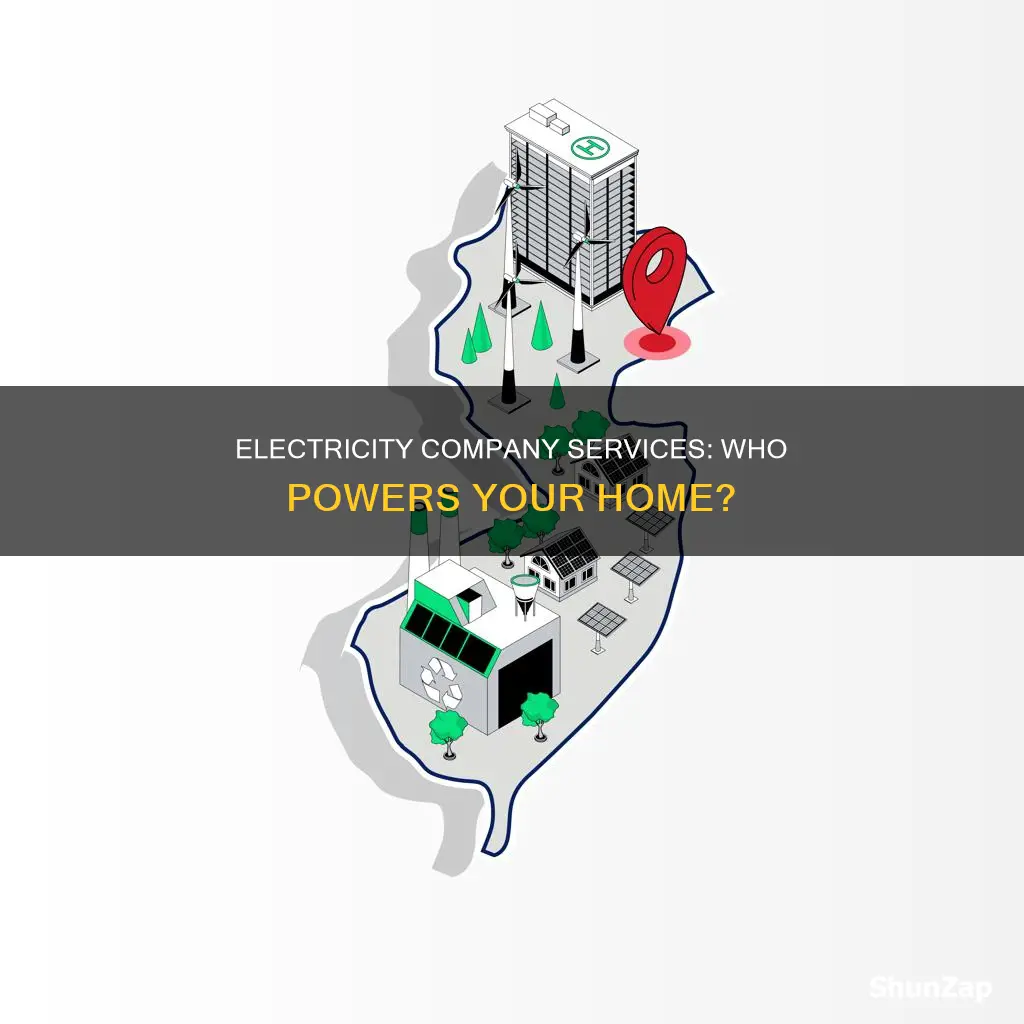 what electricity company services my area