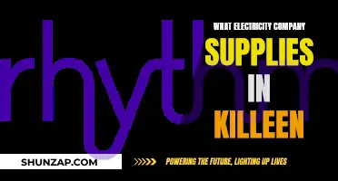Electricity Company Options for Killeen Residents