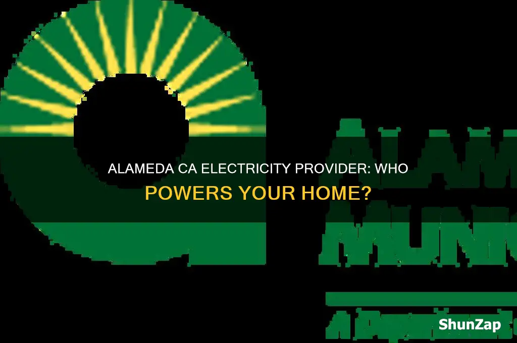 what electricity company takes care of alameda ca