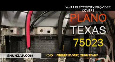 Electricity Providers in Plano, Texas: Who Powers Your Home?