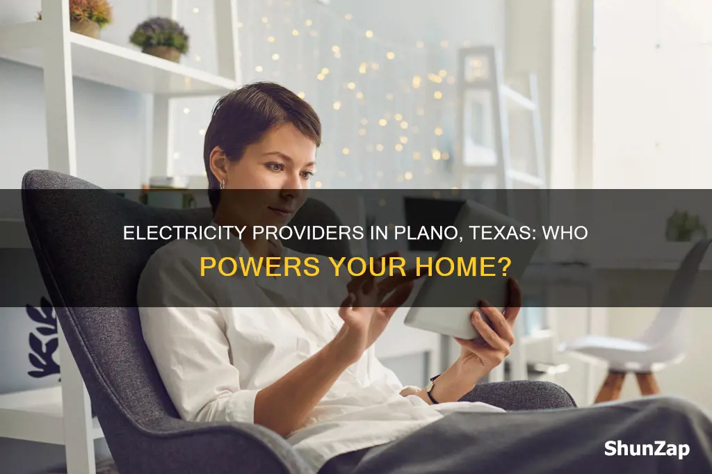 what electricity provider covers plano texas 75023