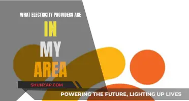 Electricity Providers: Who Powers My Home and Neighborhood?