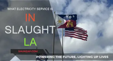 Electricity Services in Slaughter, LA: Who Powers the City?