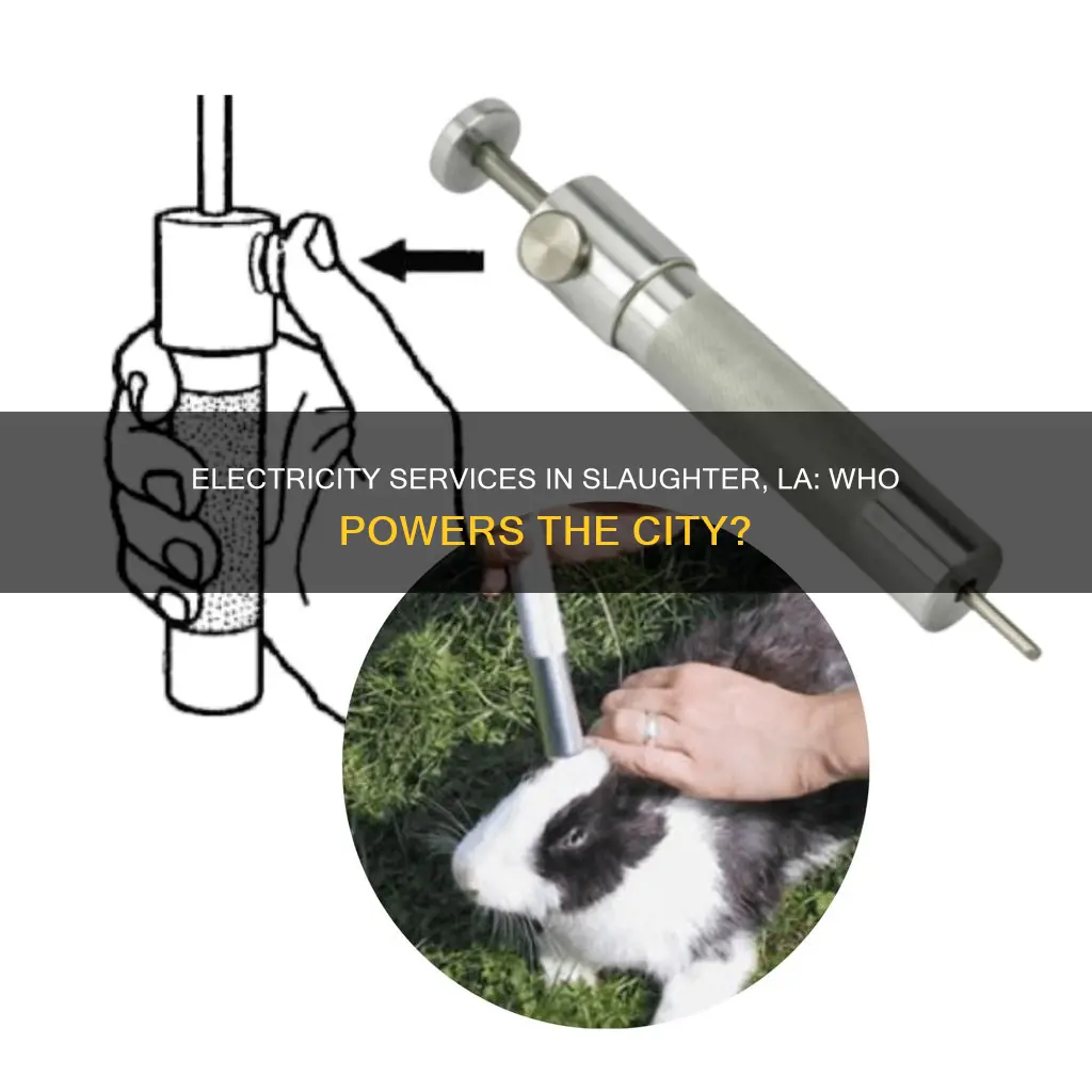 what electricity service is in slaughter la