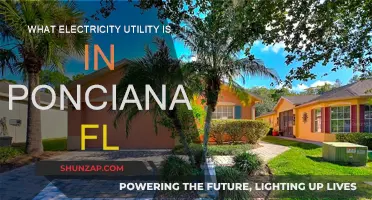Electricity Utility Options in Ponciana, Florida: Who Powers Your Home?