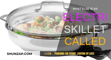 The Many Names of Electric Skillets