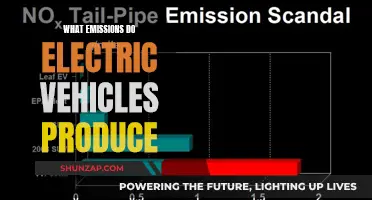 Debunking Myths: Do EVs Still Pollute?