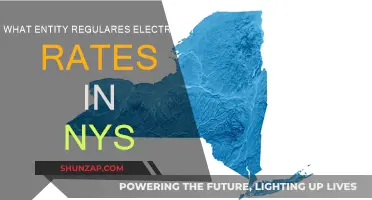 Understanding NYS Electricity Rates: Who Regulates Them?