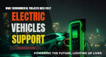 Electric Vehicles: Supporting Environmental Projects and Sustainability